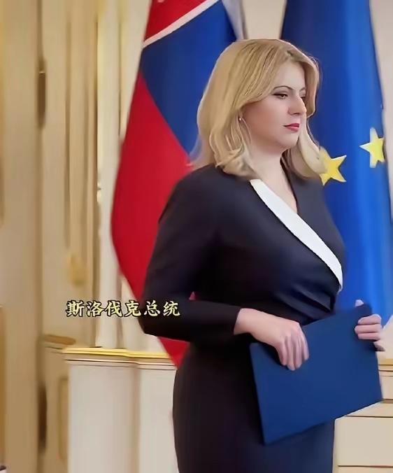 这应该是目前世界上最美的女总统了。提起世界各国的领导人，有位女总统总能靠独特气质