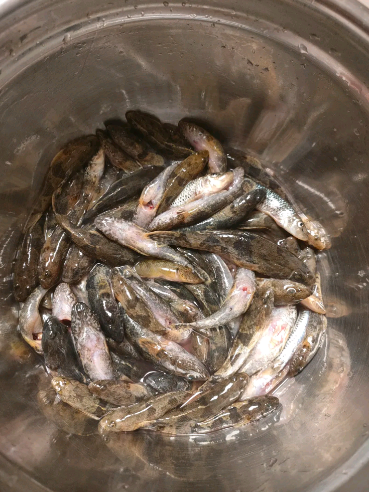 这种鱼一查一百多一公斤，真的有这么贵吗？