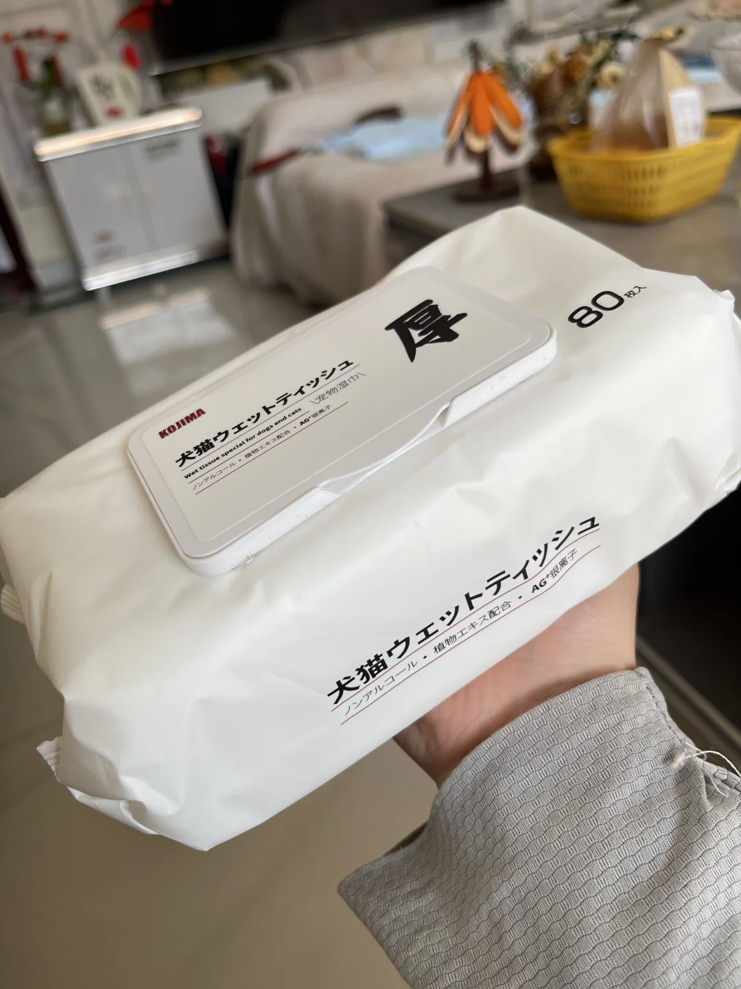 猫咪有眼屎千万别用手抠