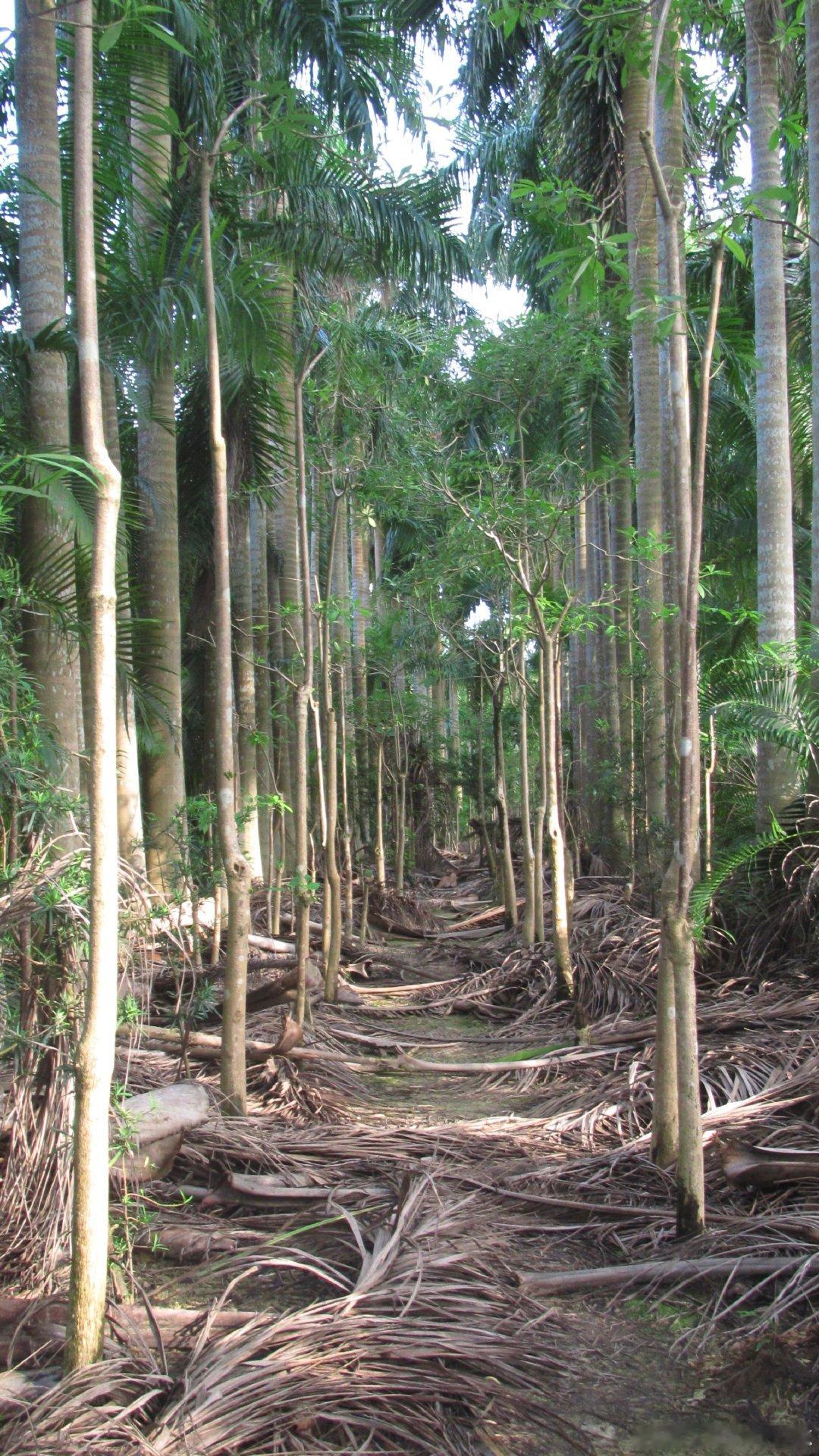 山野一片宁静🛺🌿​