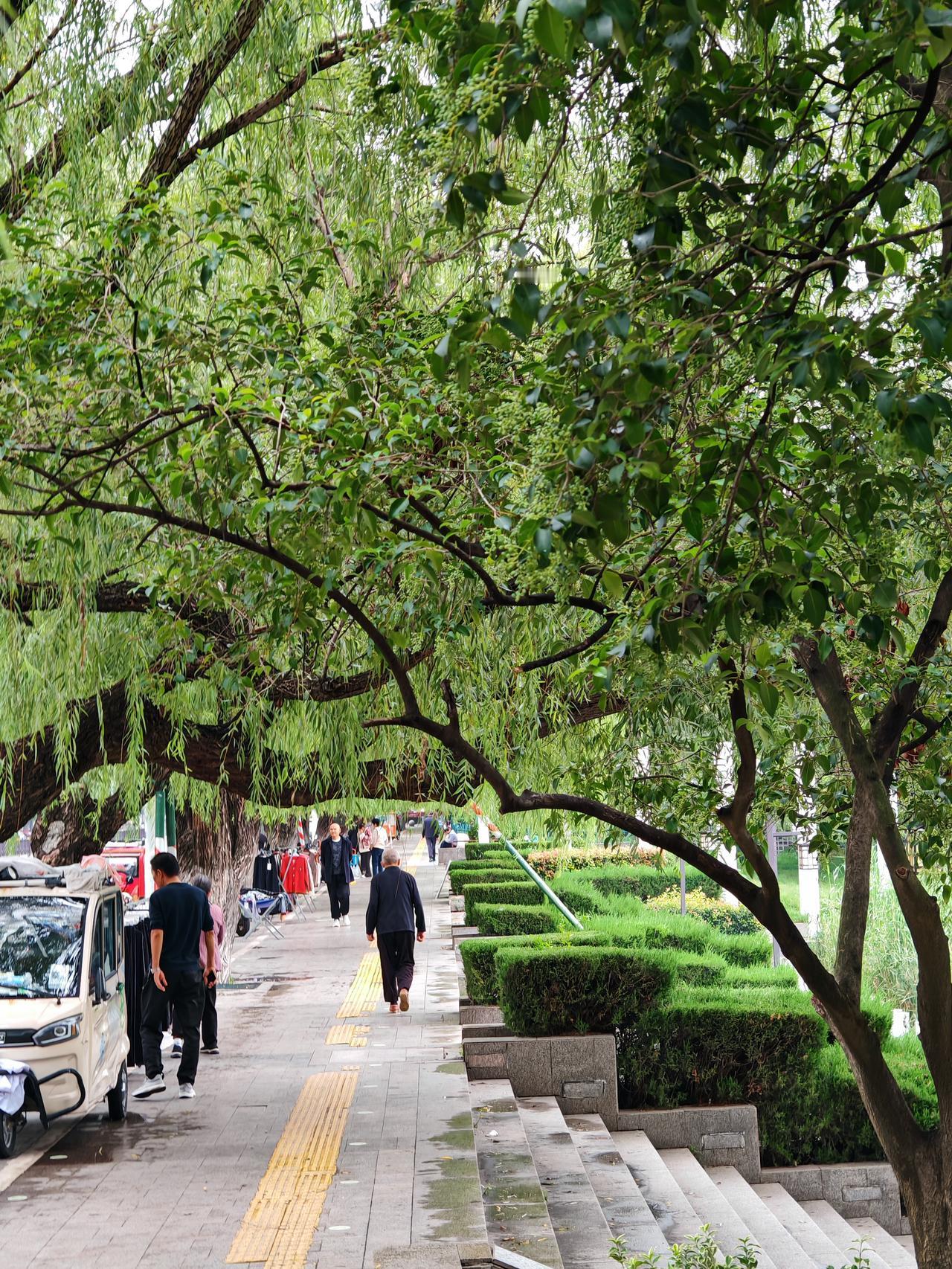 暖暖的季节真好看