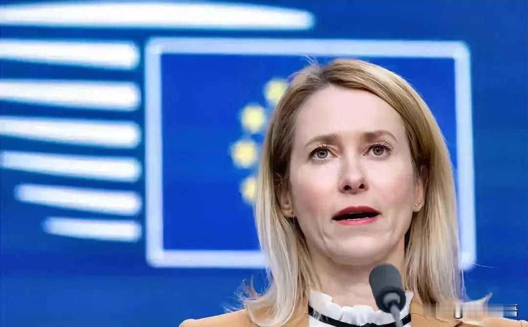 政客唱戏vs企业用脚投票：欧洲对华“经济北约”闹剧欧盟外长卡拉斯最近又整