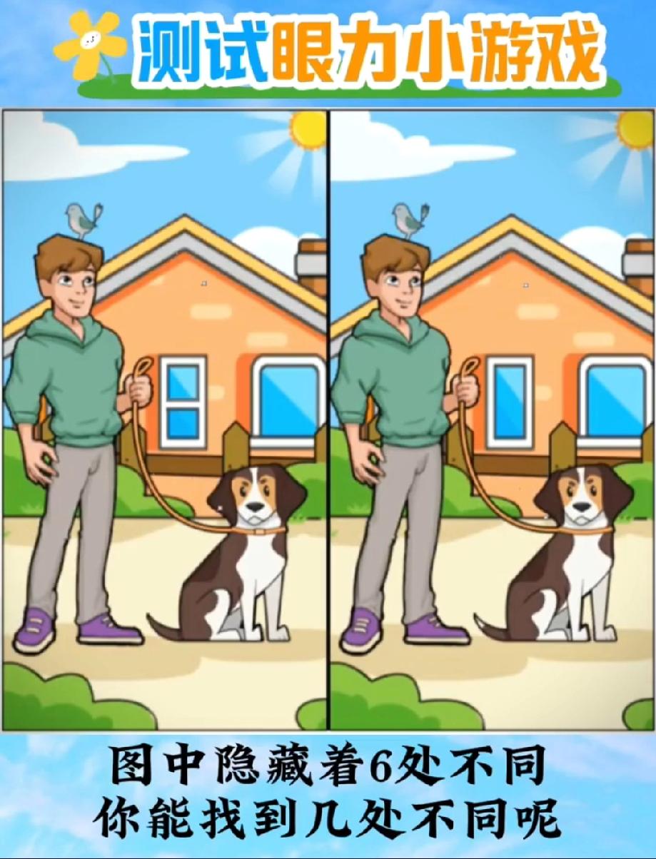 谁能找齐这6处不同？遛狗的场景里藏满细节，我找了4分钟才发现3处，评论区等大神带