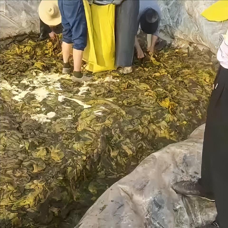 老坛酸菜，你别仗着我对你的偏爱，就如此肆无忌惮。虽然你这款确实好吃，我最喜