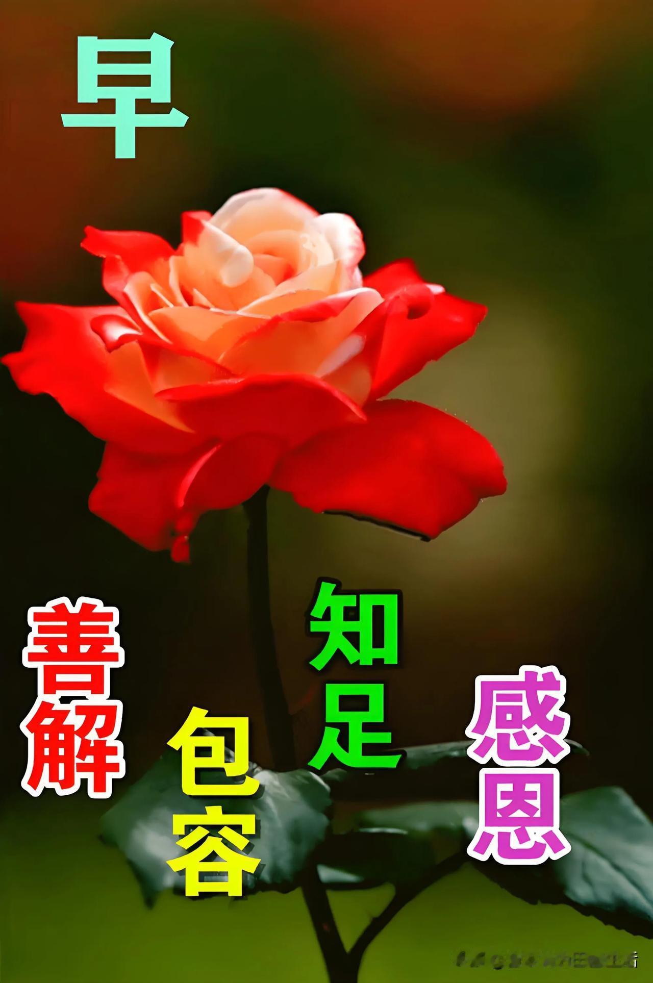 早安，善解人意，知足感恩，包容万物。早晨感恩友悦早安早安心中有爱