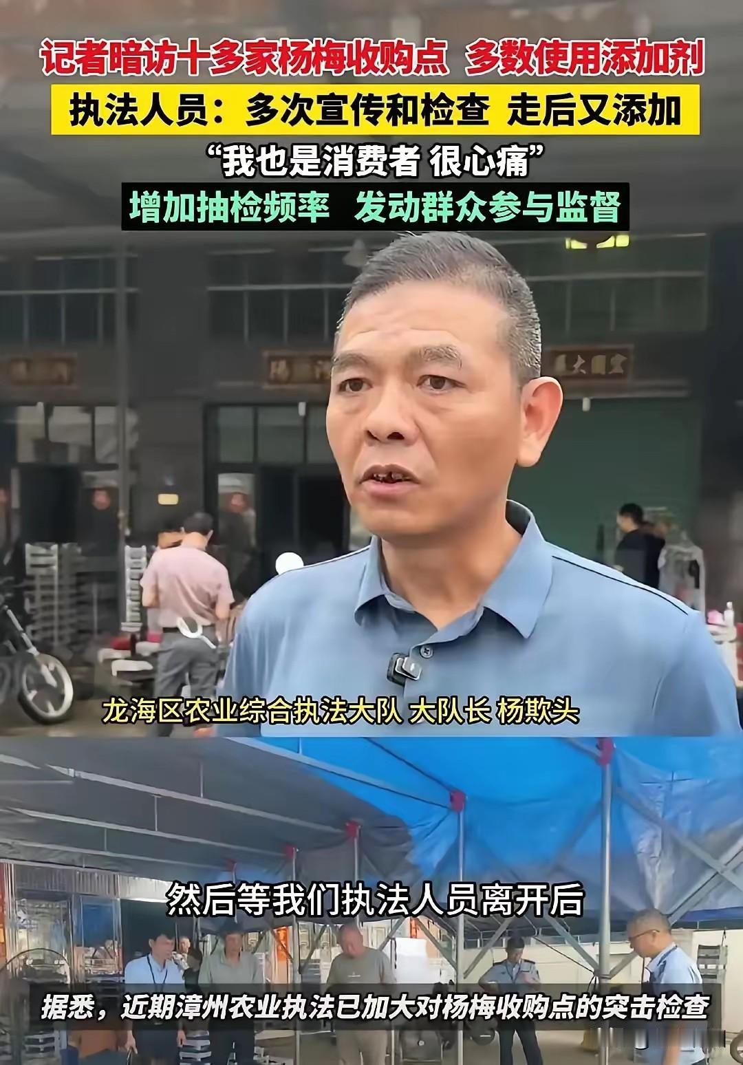 一颗杨梅带来的伤害，想要再次建立消费者信任非常难！福建漳州浮宫杨梅的事情，塌方是