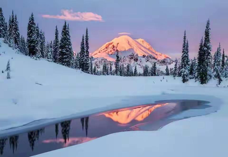 2026年糖尿病能根治？我盯着手机屏幕手都在抖...上周三，主治医生把最新临