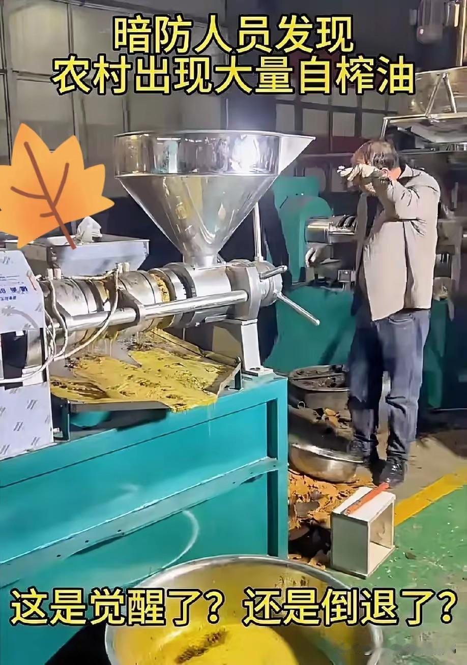 暗访：农村自榨油太多太多了，农民自己种粮食、自己种蔬菜、自己养家禽，这样的农民