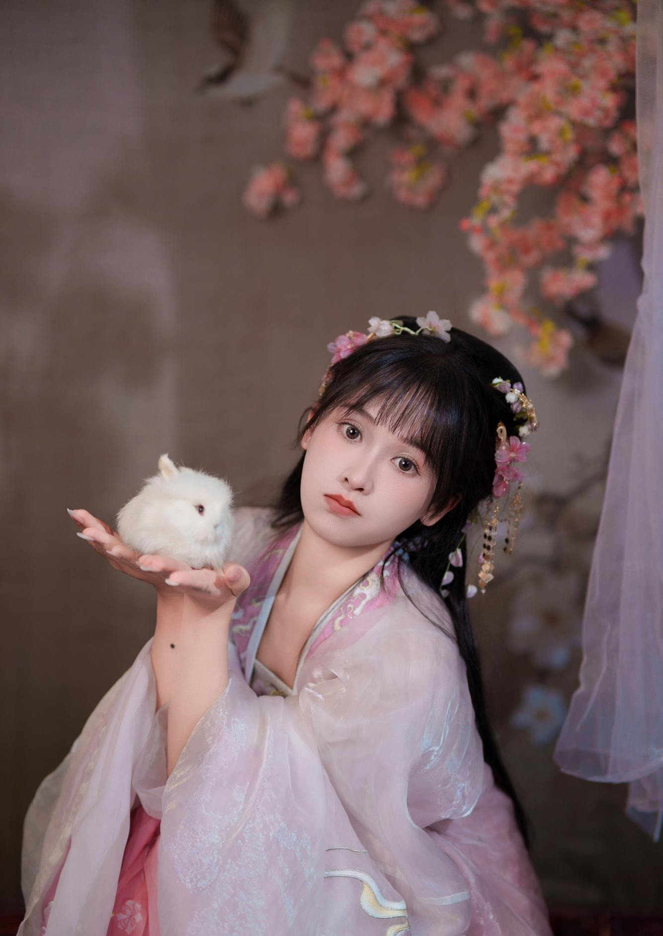 古装美女写真，一壶酒一个故事