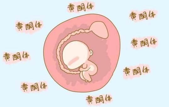 好不容易怀上孩子却孕酮低 怎么办?