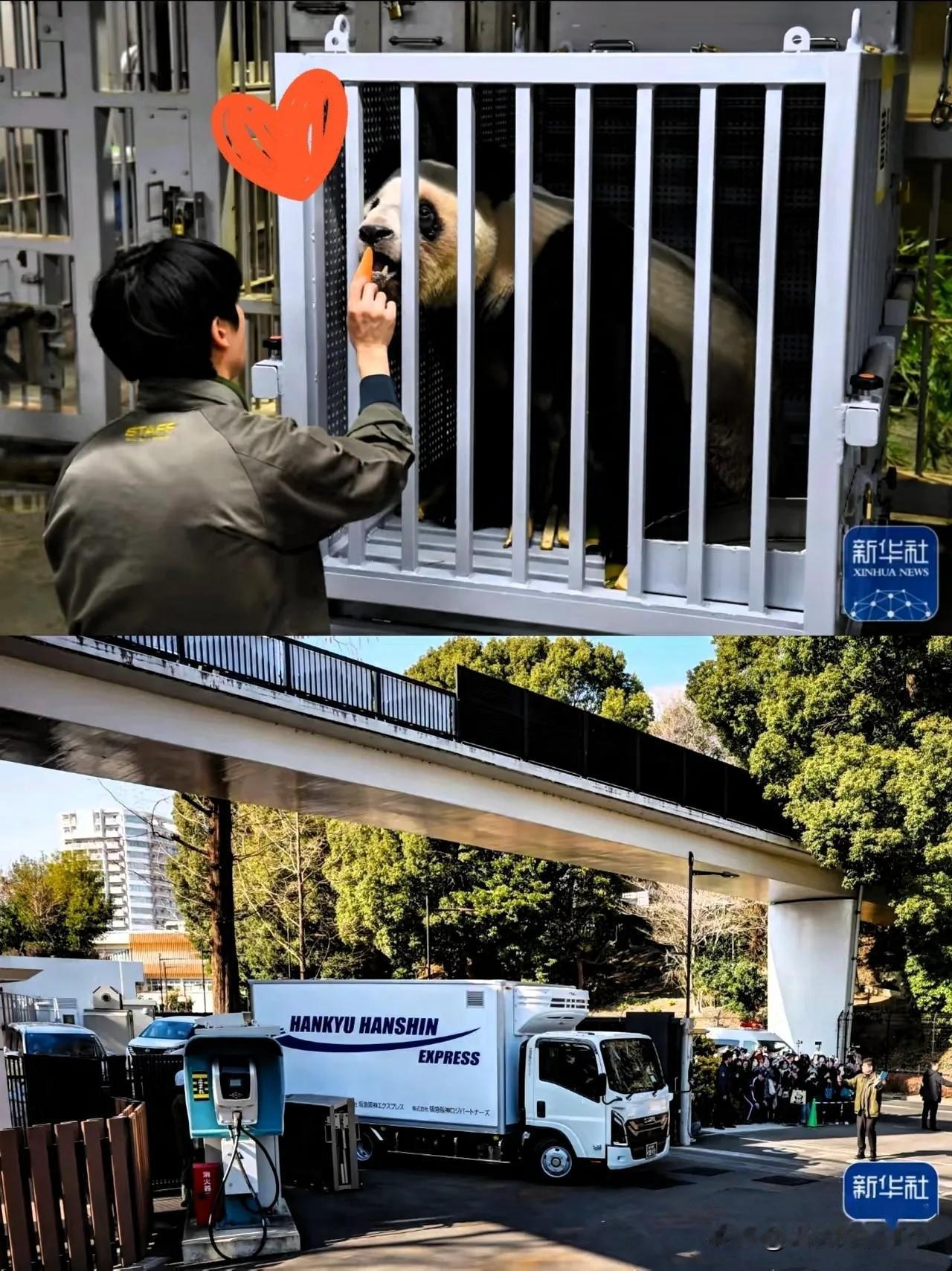 1月28号，晓晓和蕾蕾顺利抵达成都，现场气氛热烈一大早就聚集了很多游客和摄影