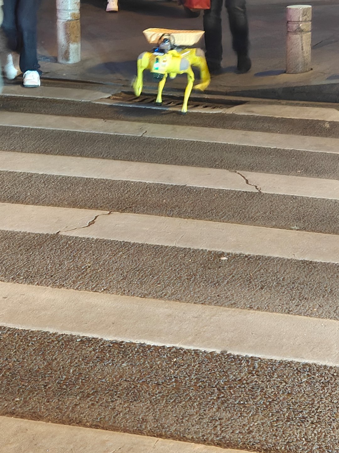 刚刚在路上遇到一个机器狗，过马路还会让我先走