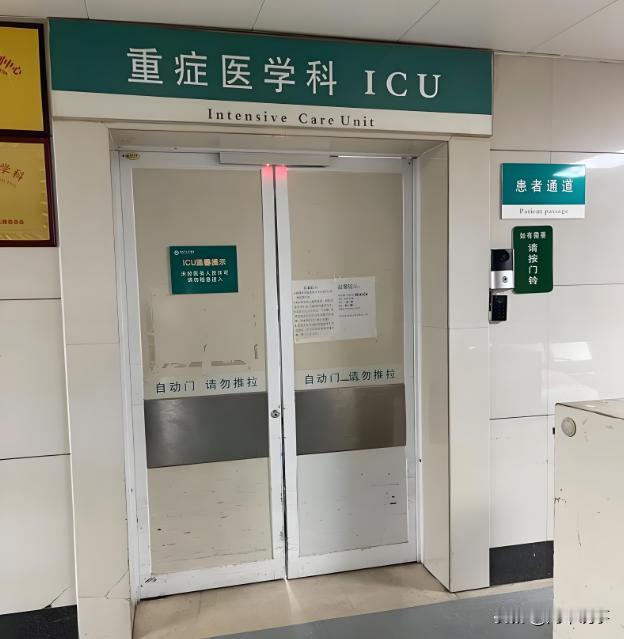 你见过凌晨四点的医院走廊吗？在走廊惨白的灯光下，一位汉子正蹲在地上不停的揪着
