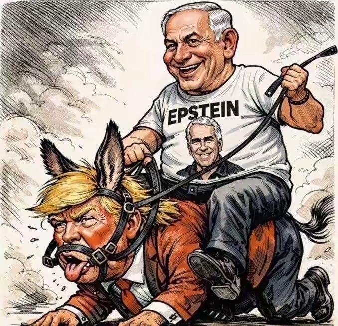 国外的漫画，天呐，川普看到会生气吗？