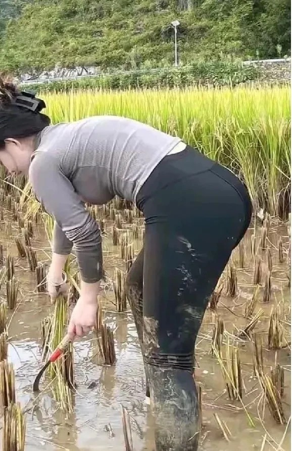 我闺蜜想找一个无偿帮她干农活的人，如果你看到这样的消息，你会考虑吗？