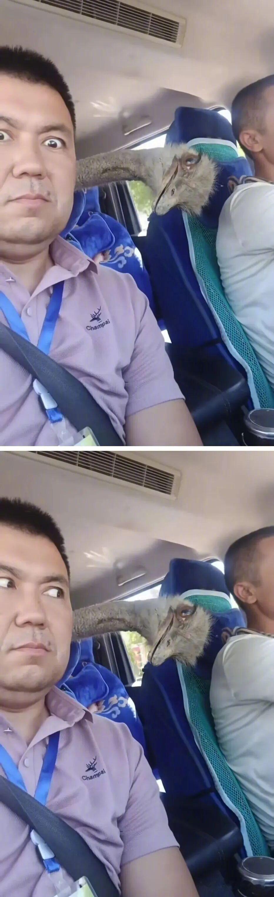 拼车拼到了奇怪的乘客​​​
