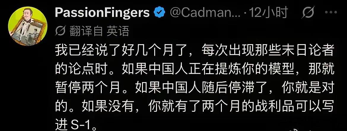 这个老外说的极有道理，建议老美的大模型先暂停两个月试试。按照这个逻辑，老美确实无