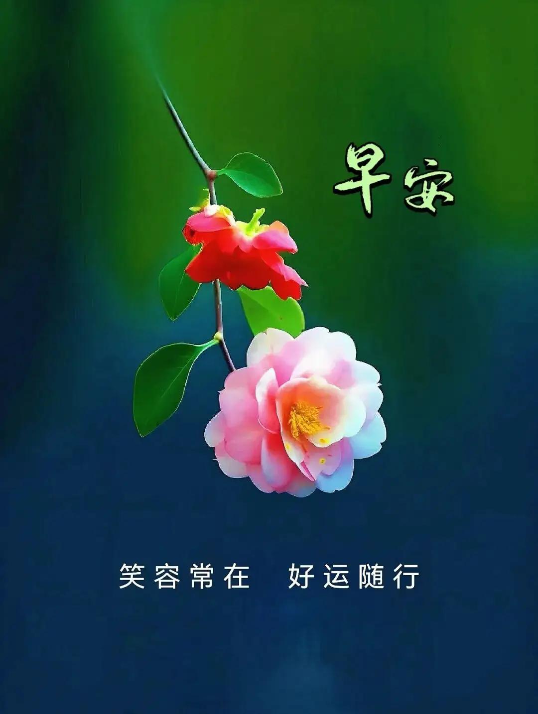 早安呀！新的一天带着满满的希望开始啦。都说好运气从清晨开始，咱心向着阳光，岁月自