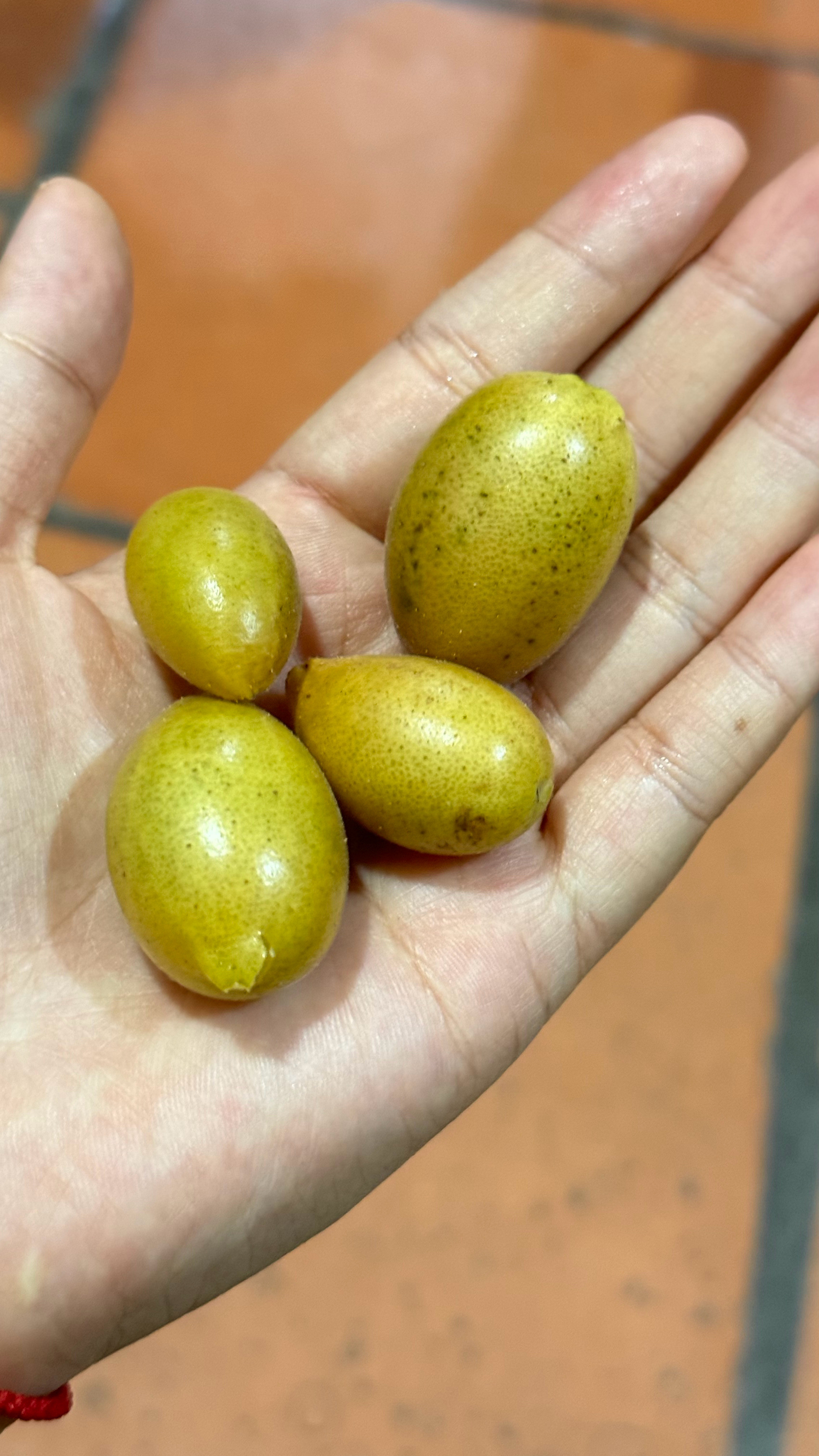 真好吃😋