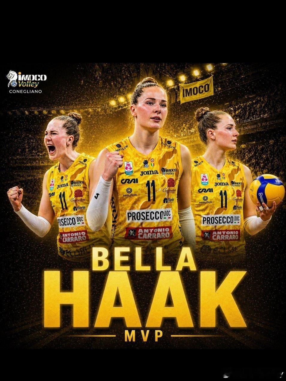 哈克无疑是世界上最出色的接应之一，在本赛季127局比赛中，她被拦仅24次，埃格努