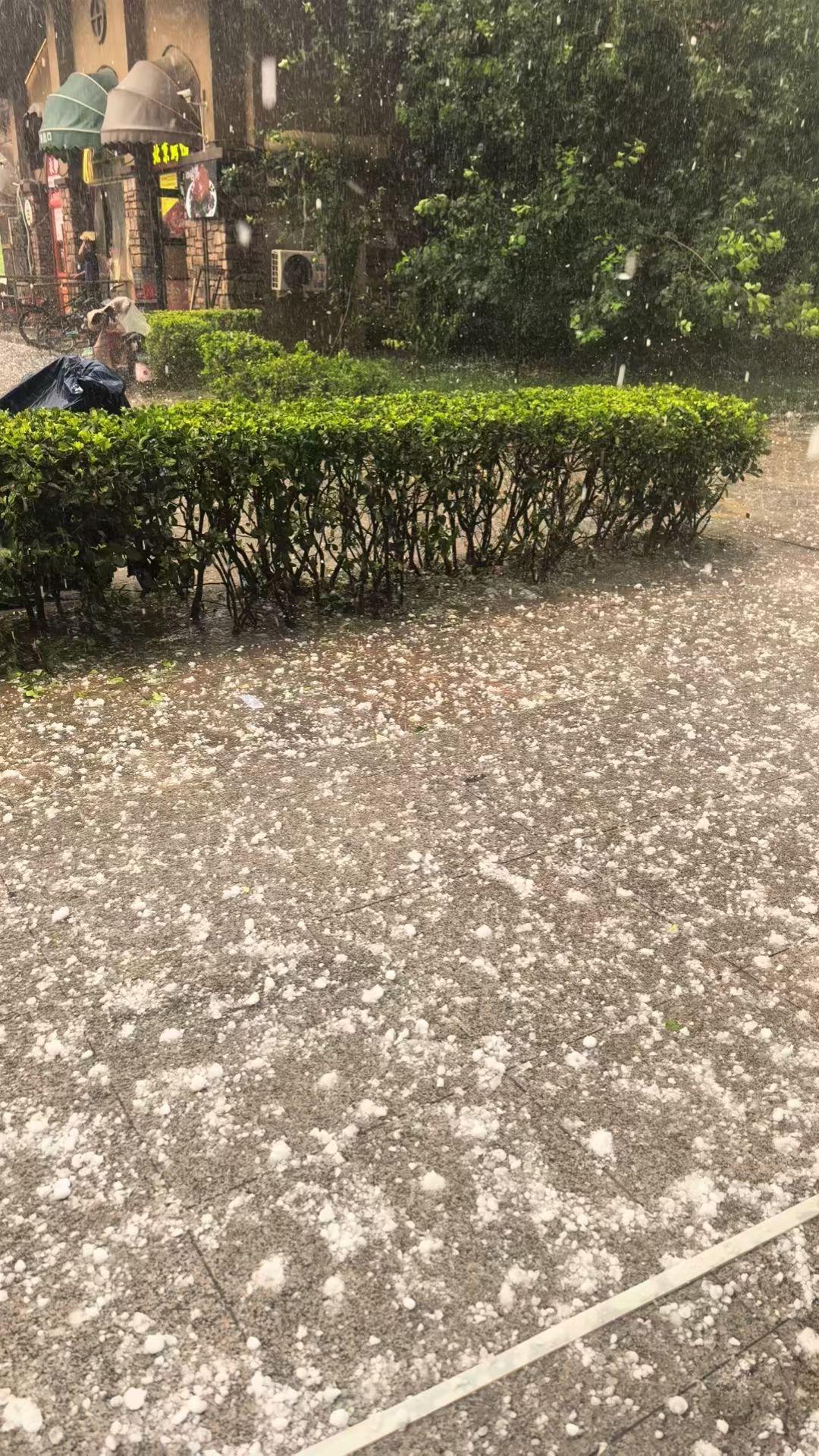 这是冰雹雨啊！石家庄下午五点半准时下雨，附赠大粒冰雹，出行注意躲避！熟悉的时间，