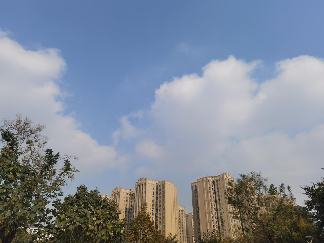 散步是免费的治愈之旅退休以后，我注重锻炼身体。锻炼身体的方法很多，比如打球，