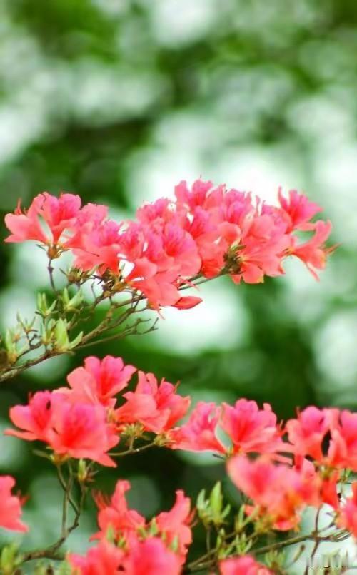 低层次的人爱较劲，高层次的人懂认命1. 低层次较劲：争输赢、辩对错、耗情绪