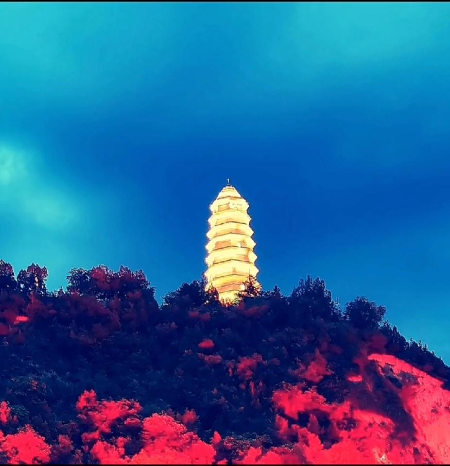 四中全会里的“老智慧新答案”，越品越提气！读四中全会公报，最戳心的不是新提