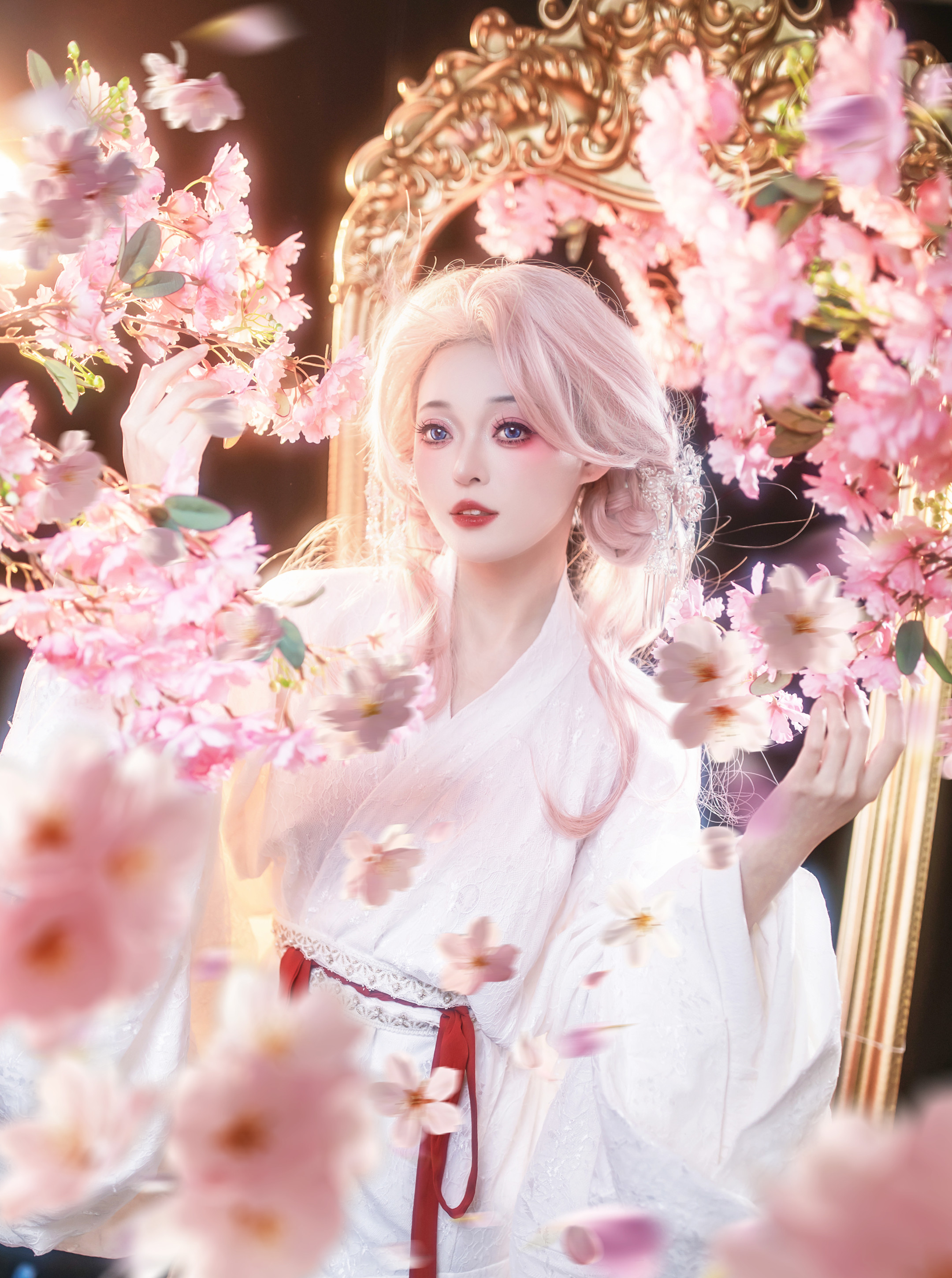 古风｜夜樱少女出镜摄影｜策划天津约拍北京约拍​​​