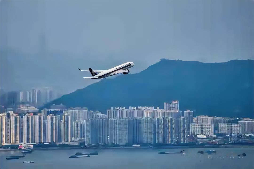 新航实惨！自家业务稳赚，却被印度航空坑走20亿，11月13日财报一出，网友都笑称