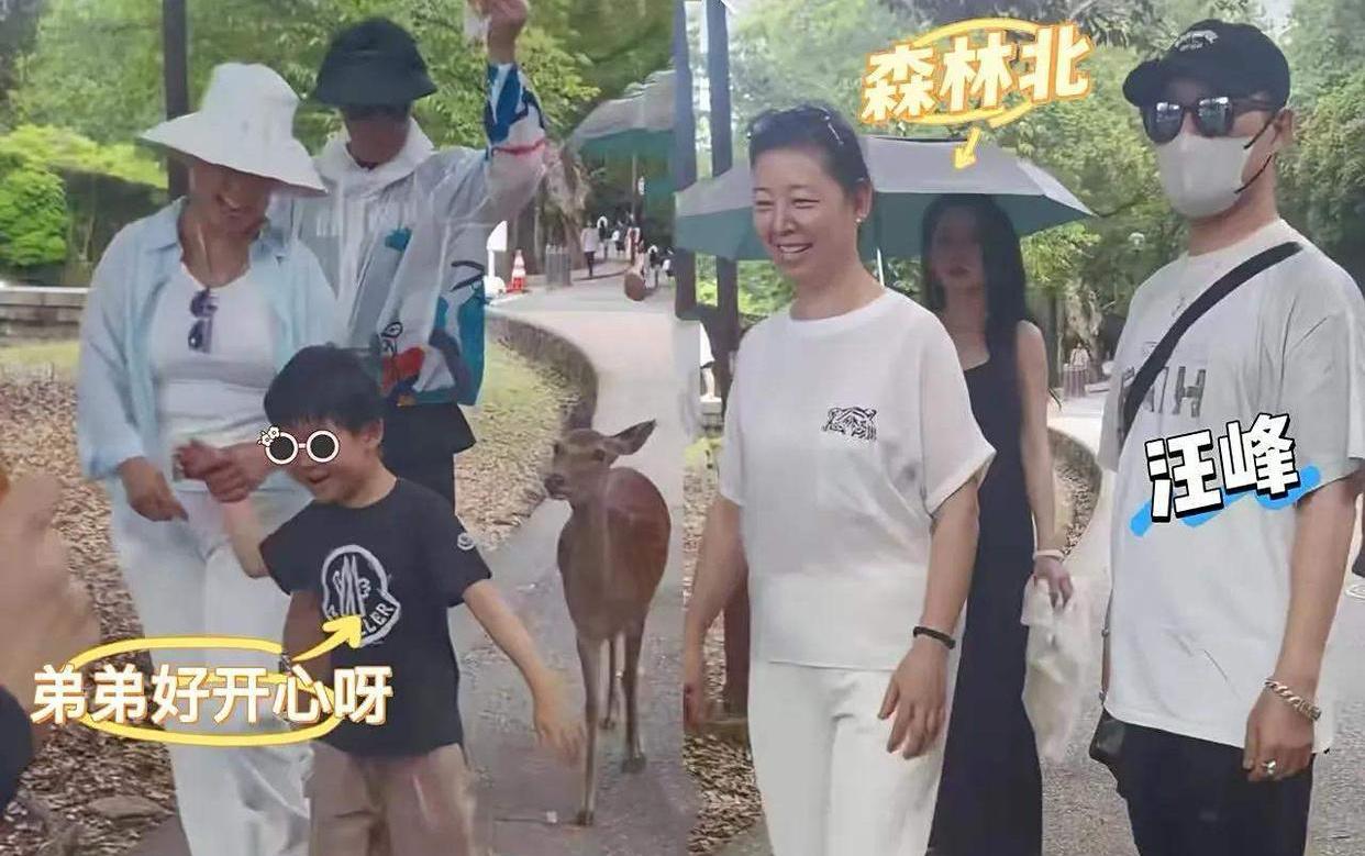 汪峰和女友森林北李巧游日本，各自带着自己的孩子，还有其他亲友，这家庭成员关系能协