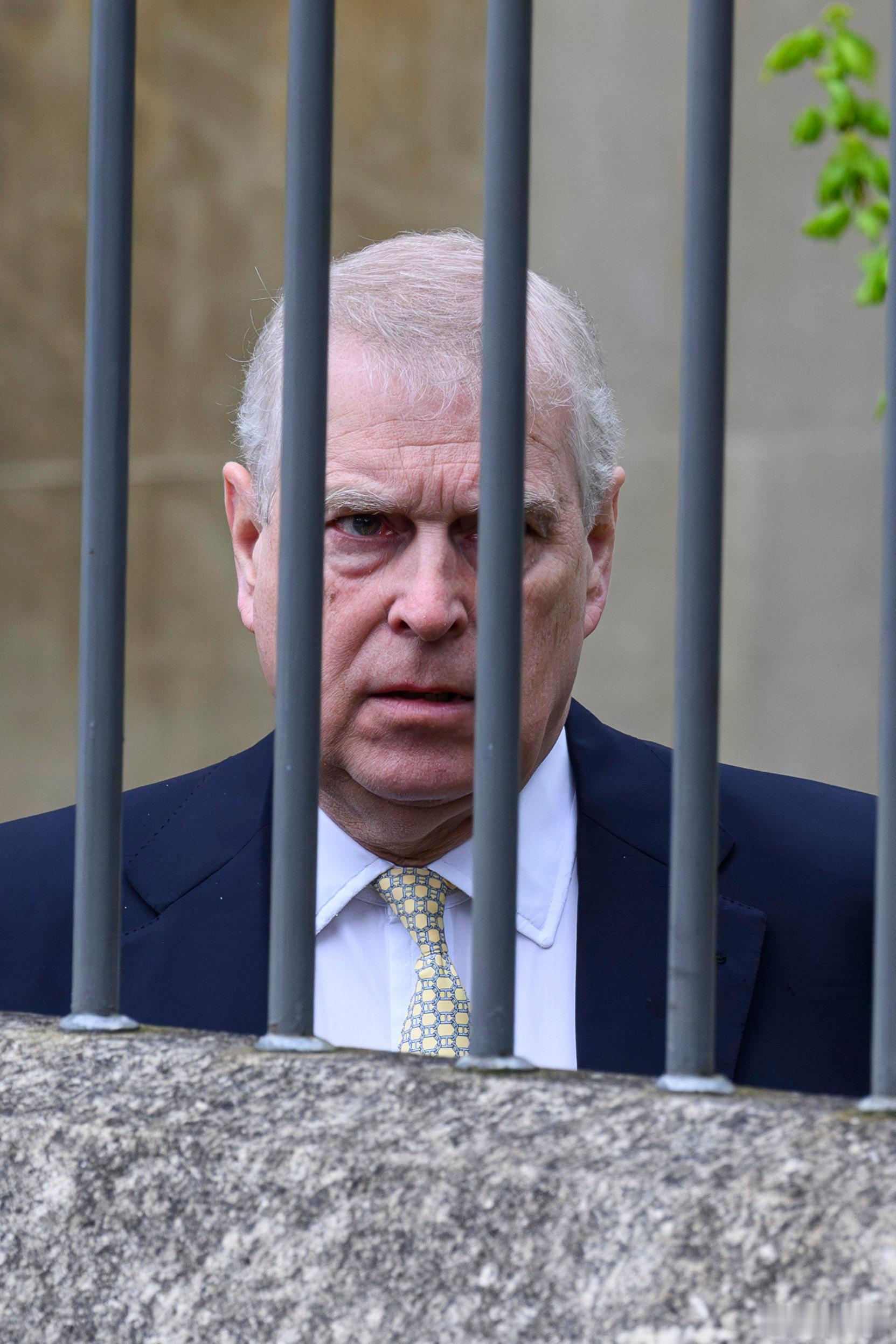 英国王室🇬🇧2月19日，根据英国BBC报道，安德鲁·蒙巴顿-温莎(前约克公