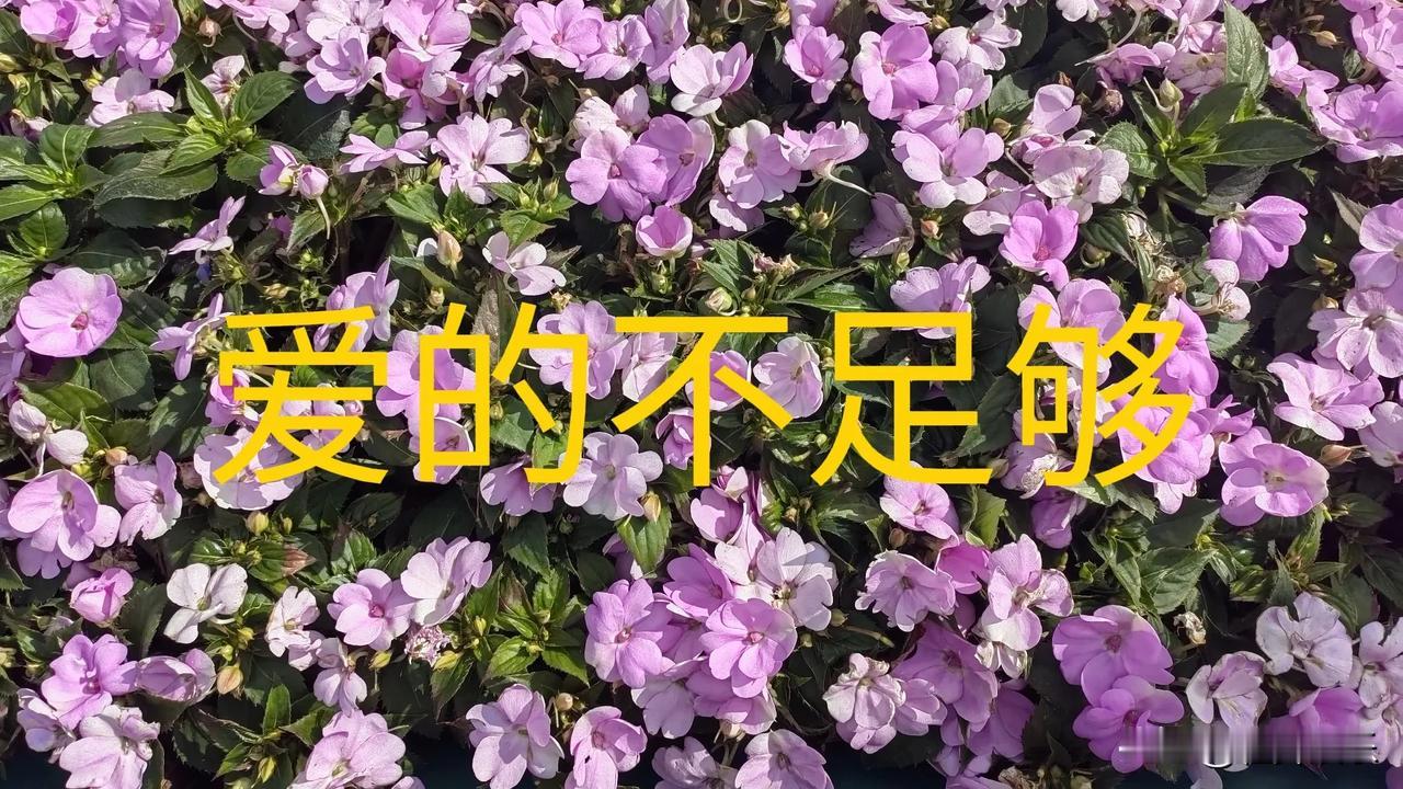 赖文峰的爱够不够？赖文峰鼎盛时期与杨钰莹恋爱，三年后据说性格不合自然分手。