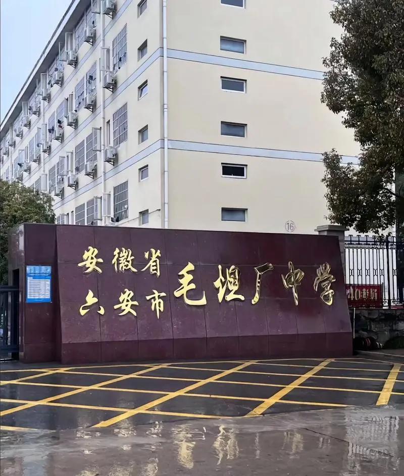 论教差生还是得看毛坦厂中学，毛坦厂整个镇就是为了毛坦厂中学服务的，镇上没有一家网