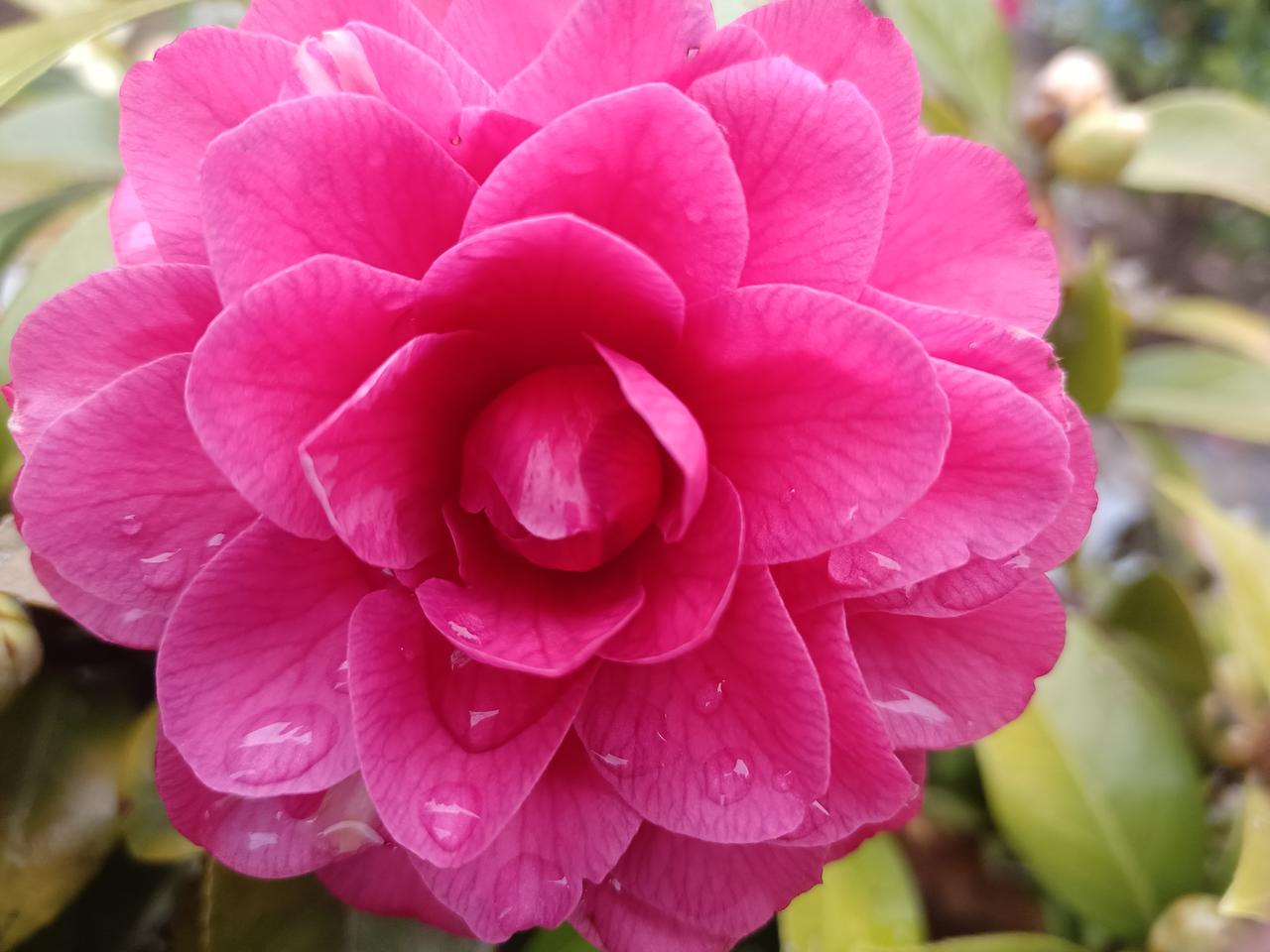 人工智能的意义和价值是什么