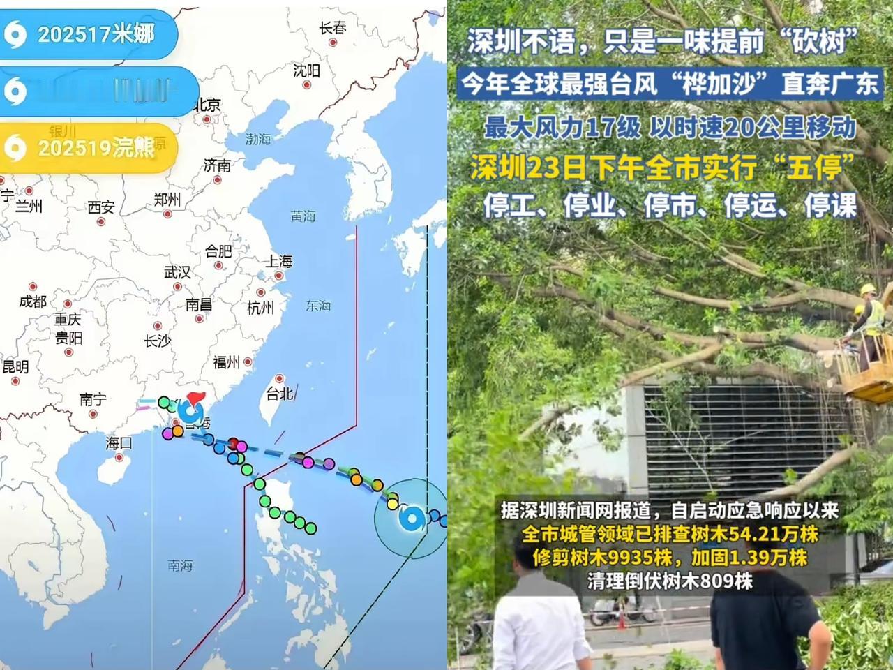 可别小瞧台风“桦加沙”呀，说它不来可就大意啦！深圳这边确实做足了准备砍树