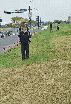 我说呢，路边的草咋这么绿。