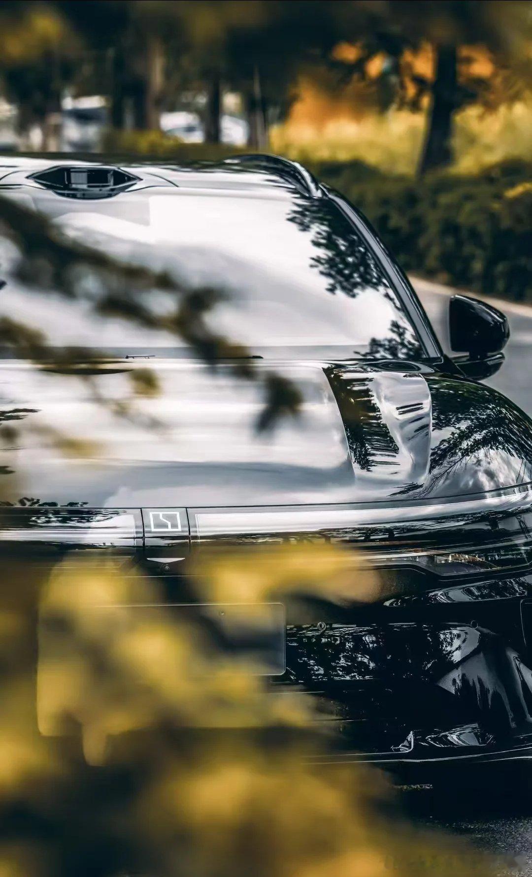 极氪车友会组织的周末亲子露营,简直就是一场“科技博览会”。五六台极氪在草坪上一