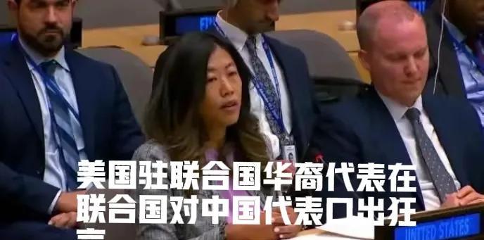 为什么？在美西方的华裔群体明明比印度裔待在那里的时间更长，却在各方面干不过后来的