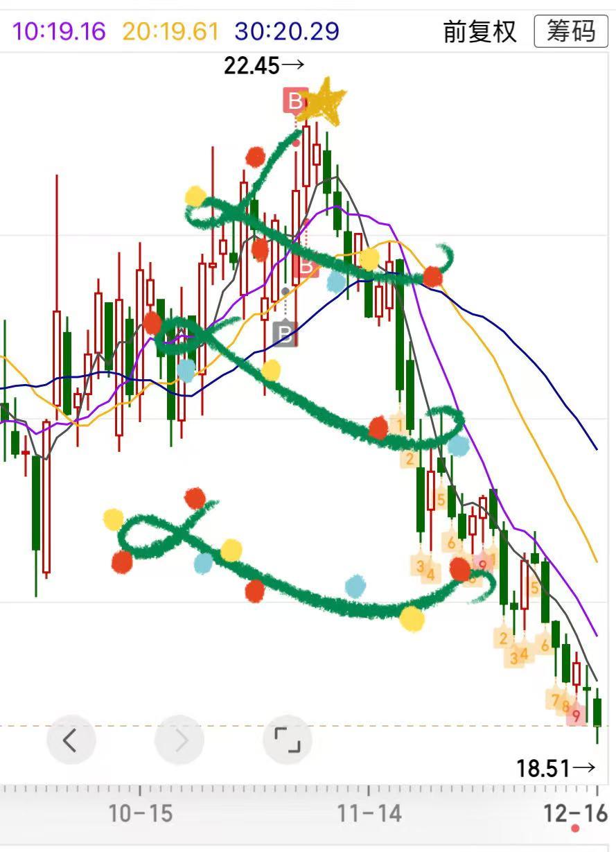 今天收到一颗圣诞树，只是看着它，笑不出来！大家知道这是什么股票吗？太惨烈了。