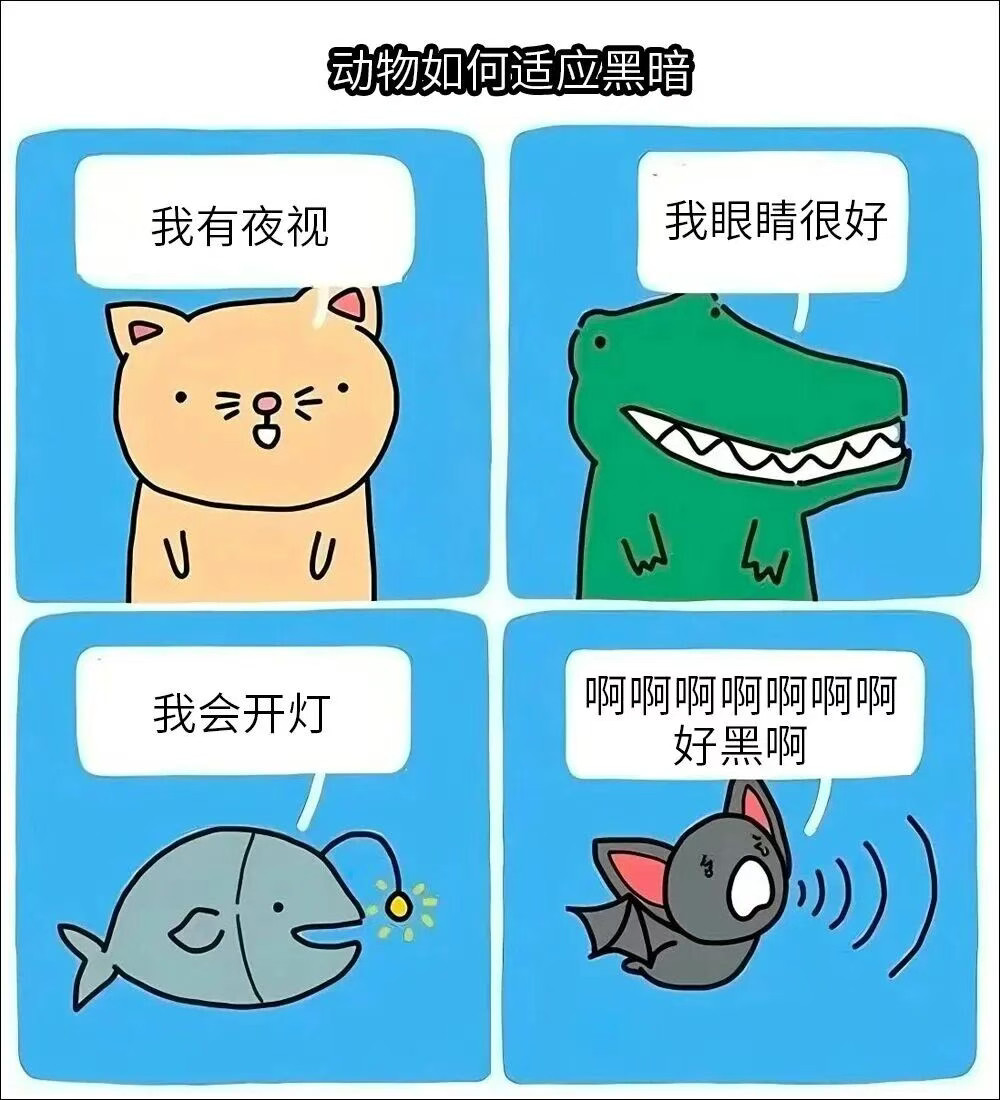 啊啊啊啊啊​​​