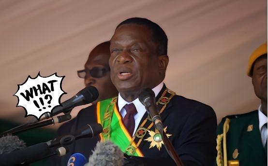 津巴布韦也开始宰肥羊了！路给修了，矿给开了，配套工程给搭好了，现在不许出口了