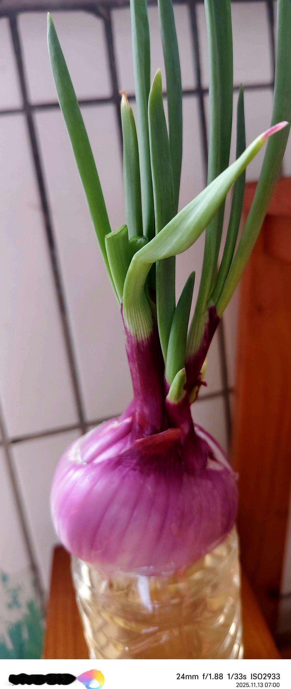 做踮起脚尖运动——二型糖尿病患者的运动与体重管理作者每天饭后踮脚十分钟，体重