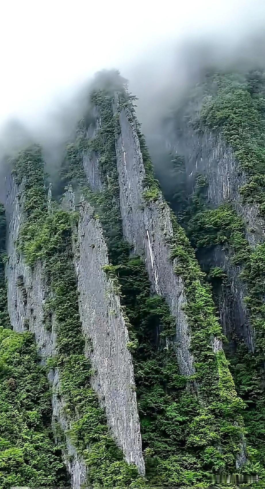 这山像刀片一样，看着非常的壮美，大自然的鬼斧神工，雕琢出这样的奇异景观，让人觉得