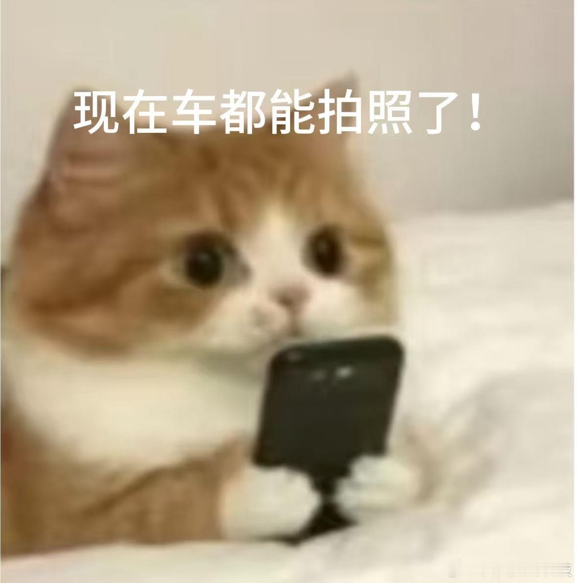 享界S9T旅拍模式实测我单方面宣布旅拍功能是享界S9T最最成功的设计！它直接把