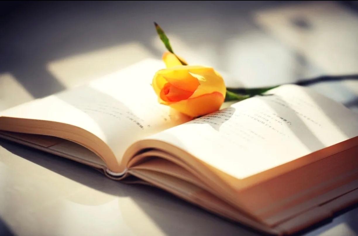 终于明白为什么有的人一把年纪没有对象了:高估了自己。朋友让帮忙给他儿子介绍对