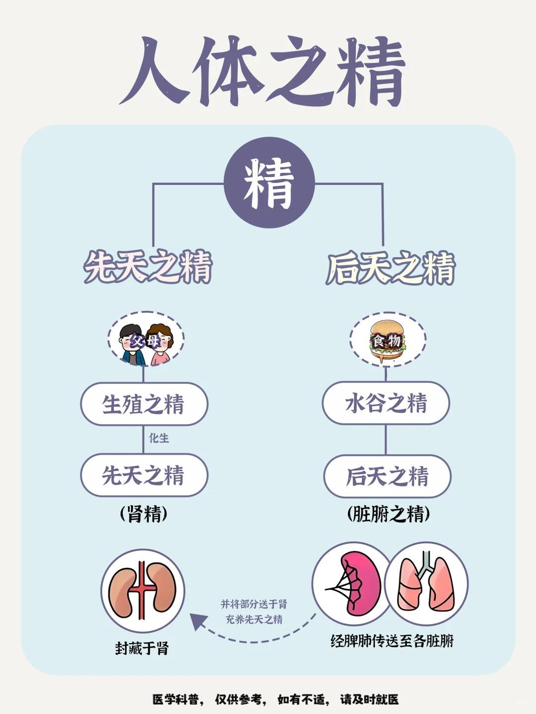 脸黄掉发、显老快？别赖熬夜补精才有用！