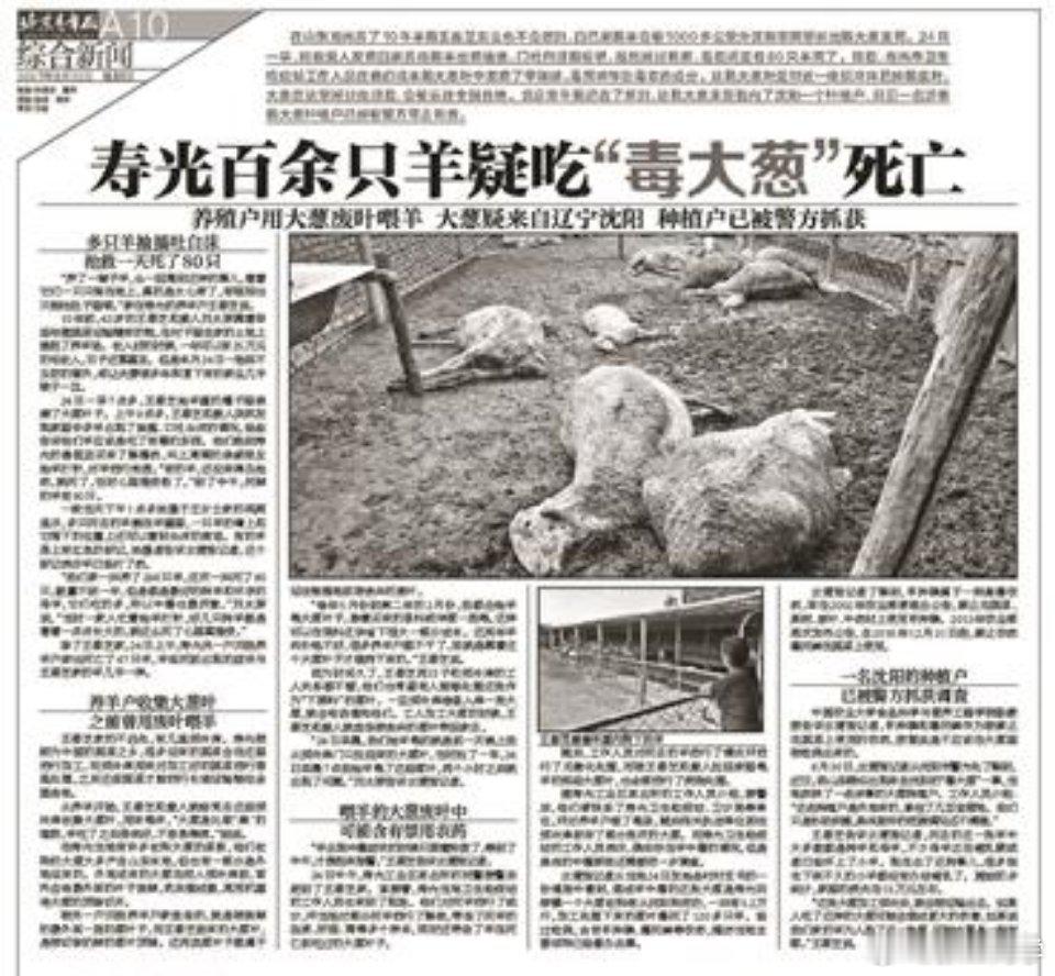 白菜蘸甲醛讲个农残的故事，2017年山东寿光几名养殖户用冷库废弃的“葱叶”喂羊，