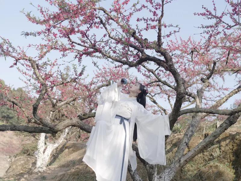 简单来说，“桃花癫”是必须就医的精神疾病，而日常说的“花痴”只是一种夸张的性格表