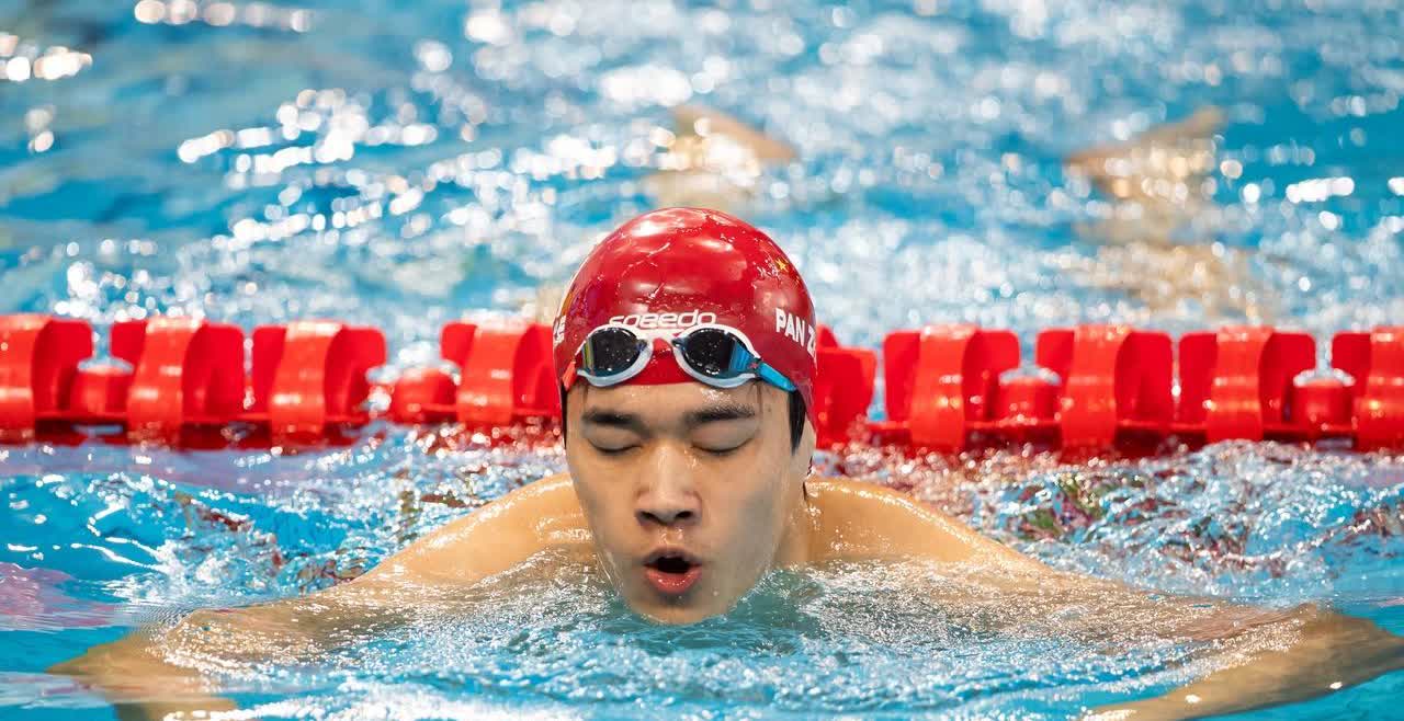 美国权威游泳媒体《swimswam》预测今年世锦赛最有可能刷新世界纪录的几个项目